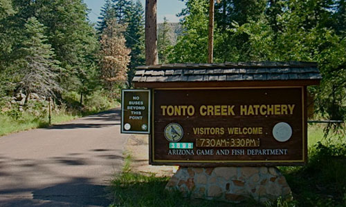 Tonto Creek Fish Hatchery